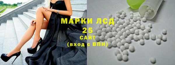 хмурый Алексин