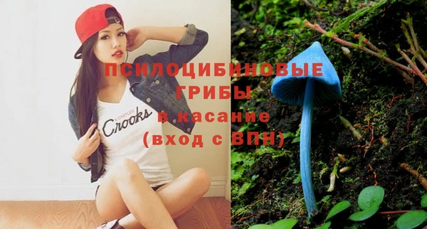 индика Алзамай