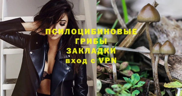 сатива Алексеевка