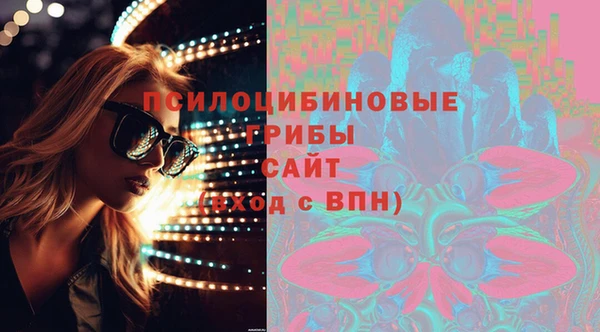 сатива Алексеевка