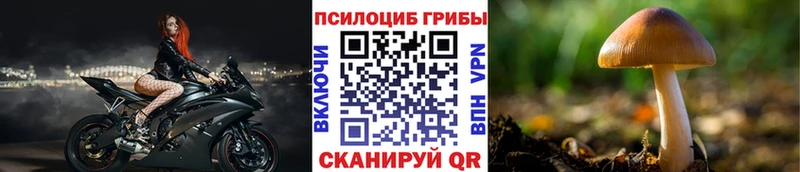 Псилоцибиновые грибы ЛСД  Тула 